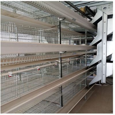 Τύπος 128 Χ πουλιά εξοπλισμός καλλιέργειας πουλερικών κλουβιών μπαταριών 4 στρώματος