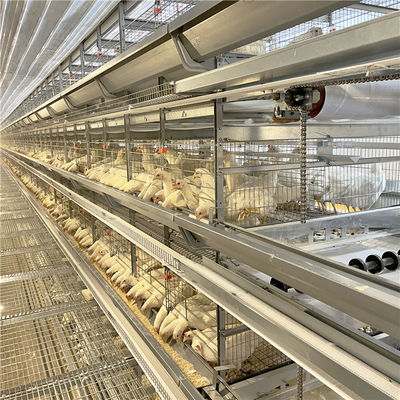 Πουλερικών κλουβί κοτόπουλου στρώματος αυγών καλλιέργειας γαλβανισμένο για 5000 πουλιά