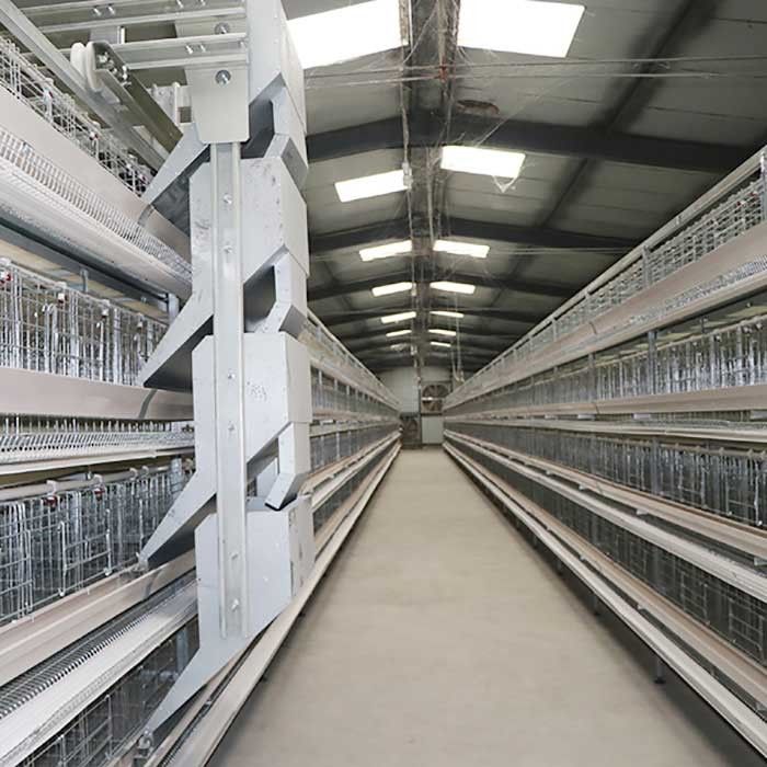 Κλουβί κοτόπουλου πουλερικών υψηλής αποδοτικότητας 90 - 160 πουλιά/άκαμπτο πλαίσιο συνόλου