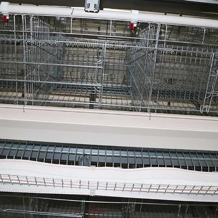 Ανθεκτικός μια έγκριση αυτόματου ελέγχου IS9001 συστημάτων κλουβιών κοτόπουλου στρώματος τύπων
