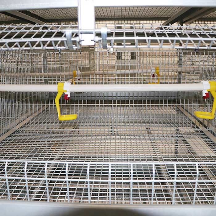 Γηράσκον κλουβί φαρμάτων πουλερικών αντίστασης, σύστημα κλουβιών μπαταριών τριών σειρών για τις σχάρες