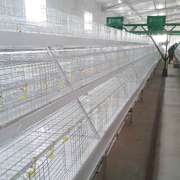 Εσωτερικό ισχυρό κλουβί κοτόπουλου σχαρών ικανότητα 96 - 120 πουλιών με το σύστημα λιπάσματος