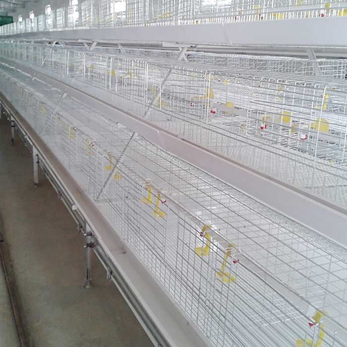 Αδιάβροχη καυτή γαλβανισμένη επιφάνεια κλουβιών κοτόπουλου σχαρών 380V 20 - 25 έτη εξουσιοδότησης