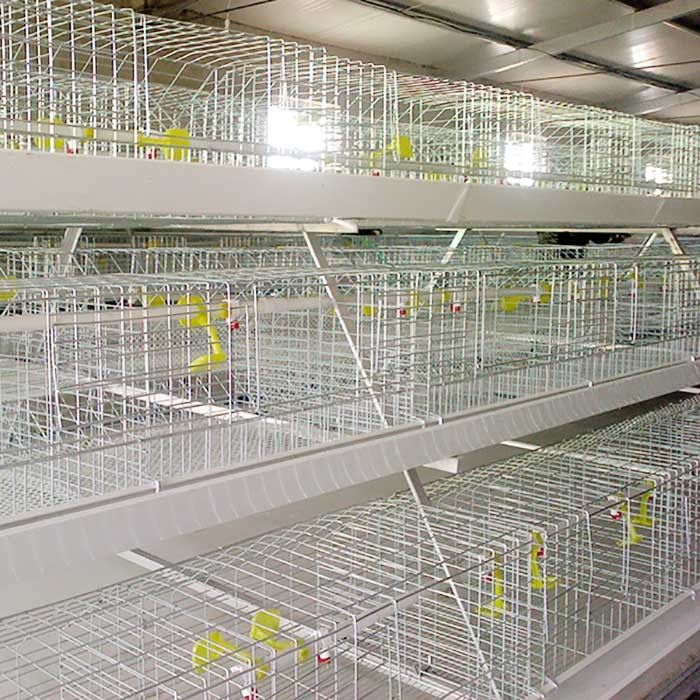 0.75kw κλουβί κοτόπουλου μετάλλων, αυτοματοποιημένα χρησιμοποιημένα μπαταρία κλουβιά ελέγχου για τα πουλερικά