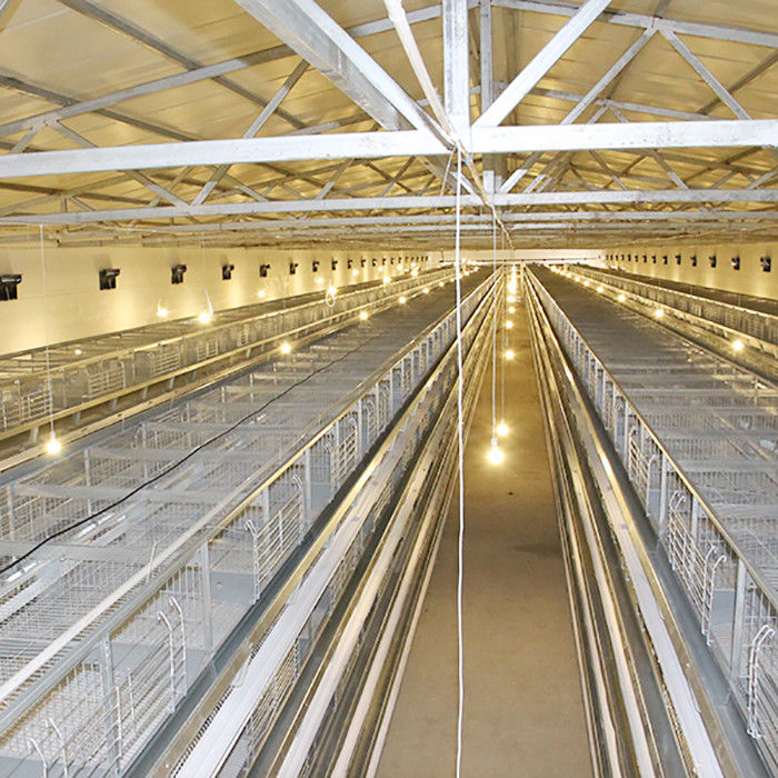 Κλουβί 4/5/6/8 σειρές 120 κοτόπουλου πουλερικών υψηλής επίδοσης * μέγεθος 60 * 70 εκατ.