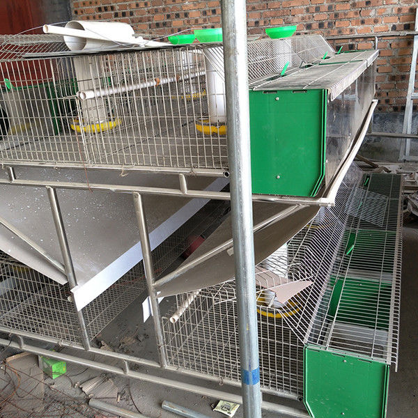Βιομηχανικός ηλεκτρικός κλουβιών κουνελιών καλωδίων κοτόπουλου 2 στρωμάτων θηλυκός που γαλβανίζεται