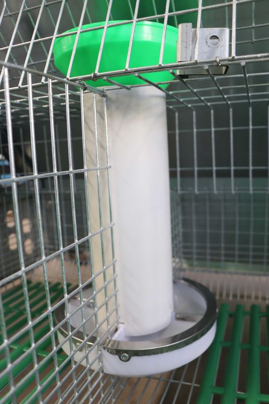 Υψηλό κλουβί μπαταριών κουνελιών αποδοτικότητας εκτροφής, κουνέλι Hutch μετάλλων 50 - 80 μωρών
