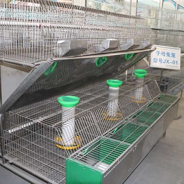 Μεγάλη αυτόματη καθαρισμού αγροτικών κουνελιών εύκολη συντήρηση απόδοσης κλουβιών σταθερή