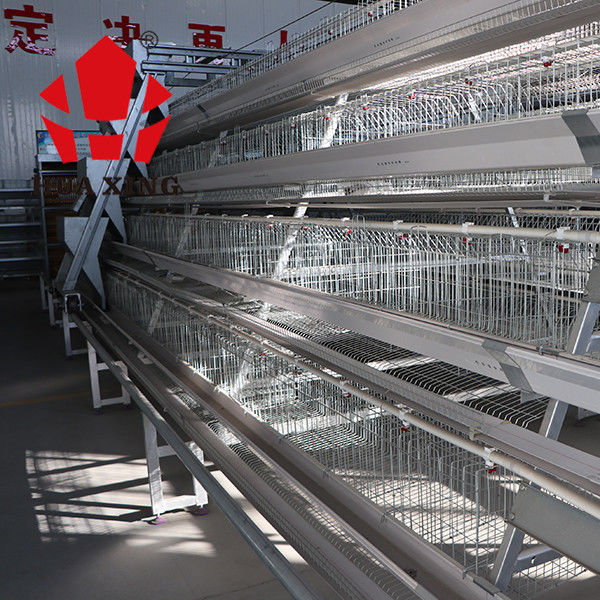 Ανθεκτικός μια έγκριση αυτόματου ελέγχου IS9001 συστημάτων κλουβιών κοτόπουλου στρώματος τύπων