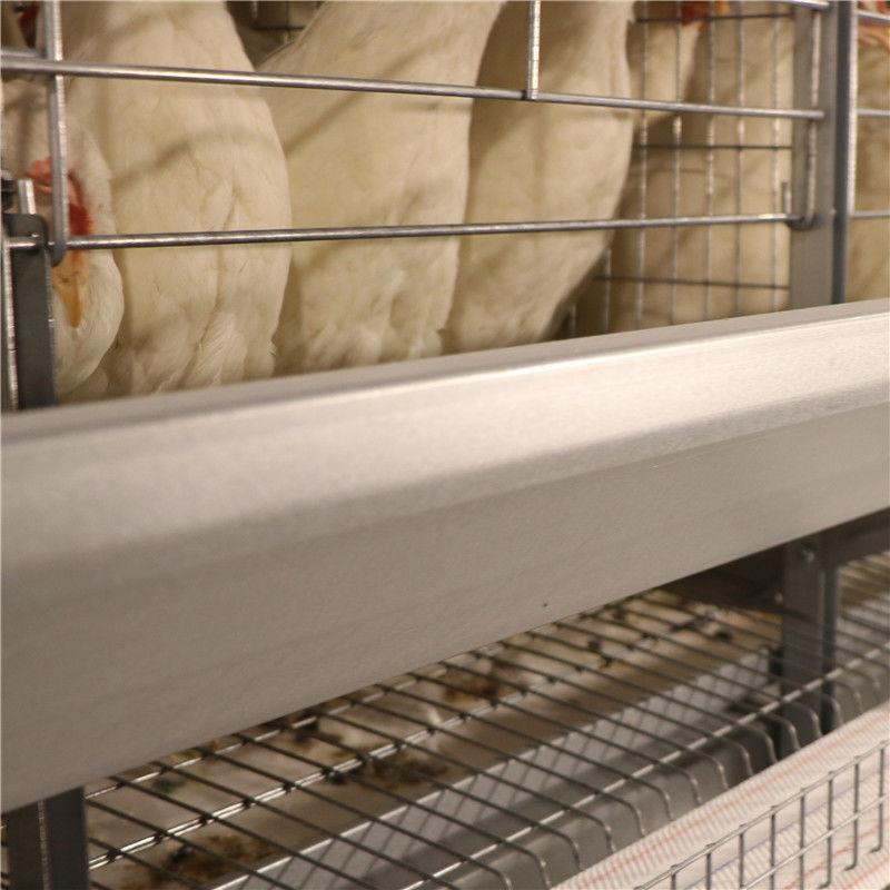 SGS αντίσταση διάβρωσης φαρμάτων πουλερικών κλουβιών κοτόπουλου στρώματος μπαταριών αυγών