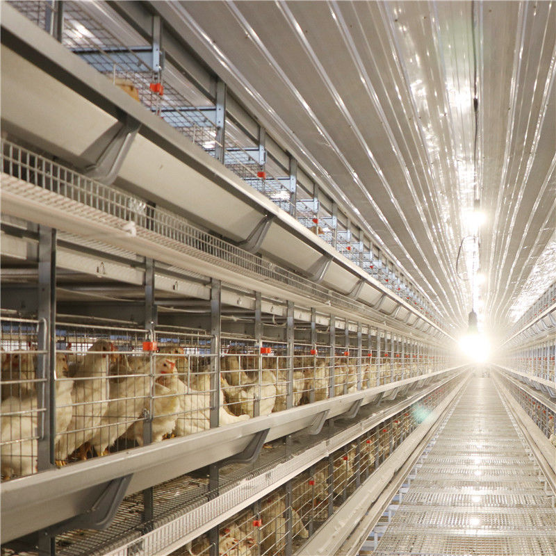 Πουλερικών κλουβί κοτόπουλου στρώματος αυγών καλλιέργειας γαλβανισμένο για 5000 πουλιά