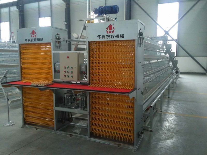 Henan Huaxing Poultry Equipments Co.,Ltd. γραμμή παραγωγής εργοστασίων
