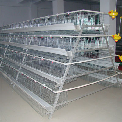Κοτόπουλο που καλλιεργεί 3 σειρές ένα αυτόματο σύστημα λιπάσματος κλουβιών στρώματος πλαισίων
