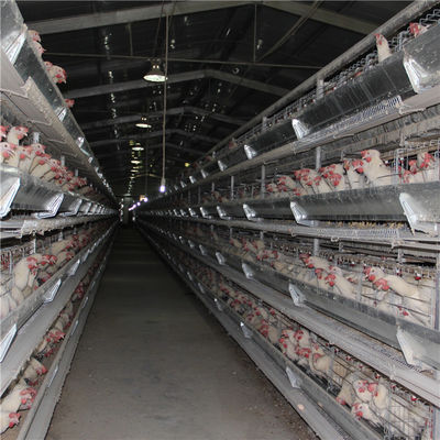 192 αυτόματη κατανάλωση εξοπλισμού φαρμάτων πουλερικών κλουβιών κοτόπουλου μωρών πουλιών