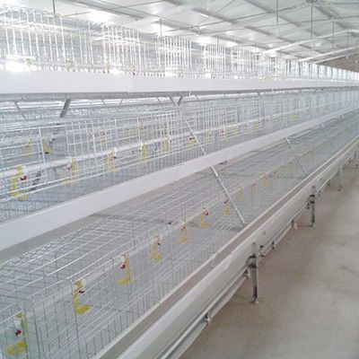 Αυτόματο κλουβί κοτετσιών κοτόπουλου σχαρών σίτισης, προσαρμοσμένο κλουβί τροφών πουλιών σχεδίου