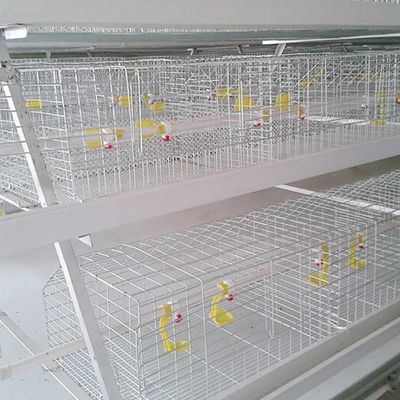 Αλεξίπυρο κλουβί χάλυβα για το κοτόπουλο, εσωτερικό σπίτι πουλερικών αγροτικών κλουβιών σχαρών