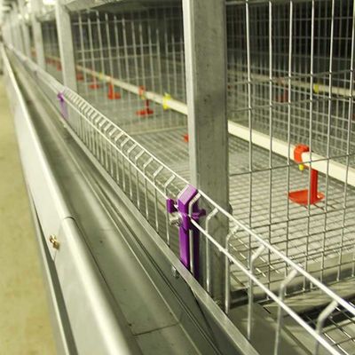 Αυτόματο κλουβί για τους νεοσσούς, κλουβί φαρμάτων πουλερικών στρώματος ικανότητας 264 πουλιών