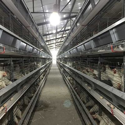 4 - έλεγχος μπαταριών κλουβιών κοτόπουλου πουλερικών 8.5m αυξάνοντας με τον αυτόματο συλλέκτη αυγών