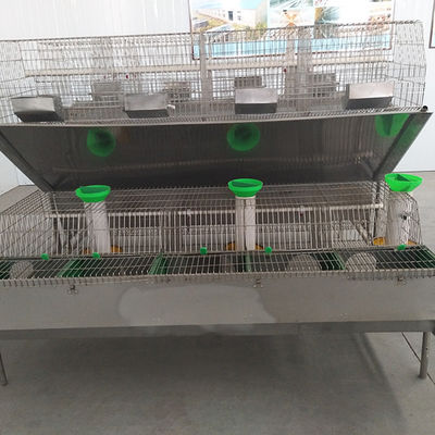 Καυτή βυθισμένη γαλβανισμένη επιφάνεια 12 κλουβιών αγροτικών κουνελιών πλέγματος χαλύβδινων συρμάτων ικανότητα Mums