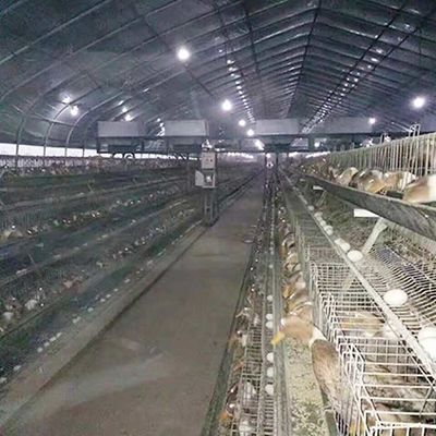 Ένα κλουβί καλλιέργειας αναπαραγωγής παπιών στρώματος κοτόπουλου πλαισίων για το φάρμα πουλερικών
