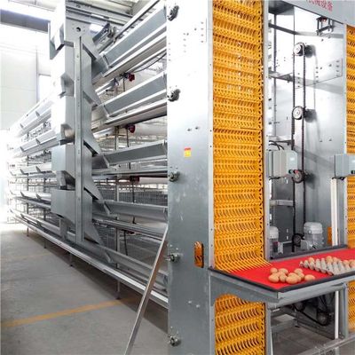Σταθερή ομαλή λειτουργία συστημάτων συλλογής αυγών απόδοσης αυτόματη με τη ζώνη