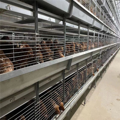 4 σειρά 192 κλουβί νεοσσών μωρών πουλιών για τη νέα αναπαραγωγή νεοσσών