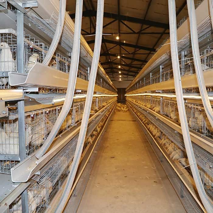 Καυτό βυθισμένο υλικό Gavalnized ισχύος της μπαταρίας κλουβιών κοτόπουλου αγροτικού στρώματος μεγάλης περιεκτικότητας