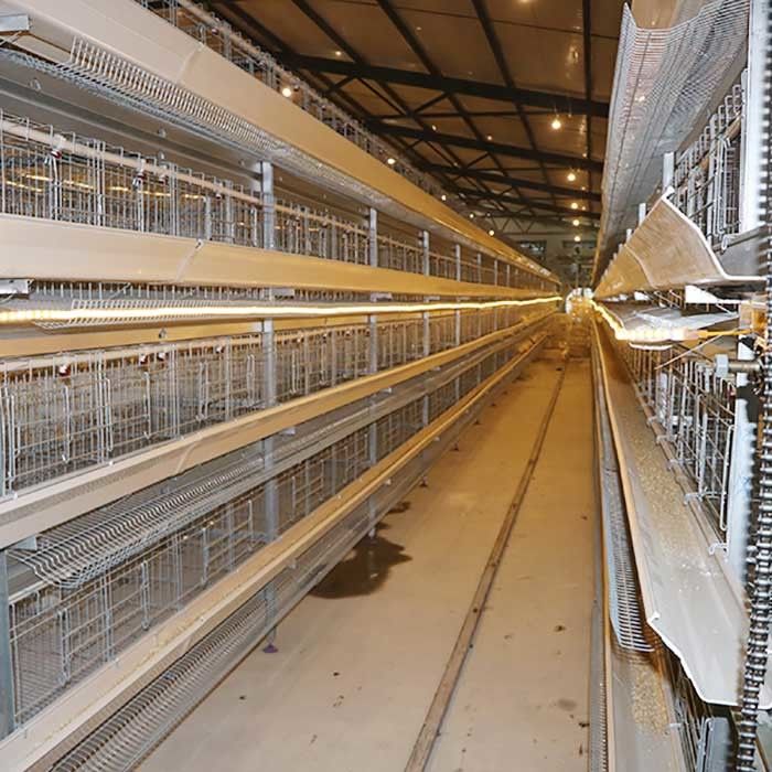 Σύστημα κλουβιών μπαταριών καλλιέργειας πουλερικών εκτροφής κοτετσιών, κλουβιά ενός τύπων στρώματος για το κοτόπουλο