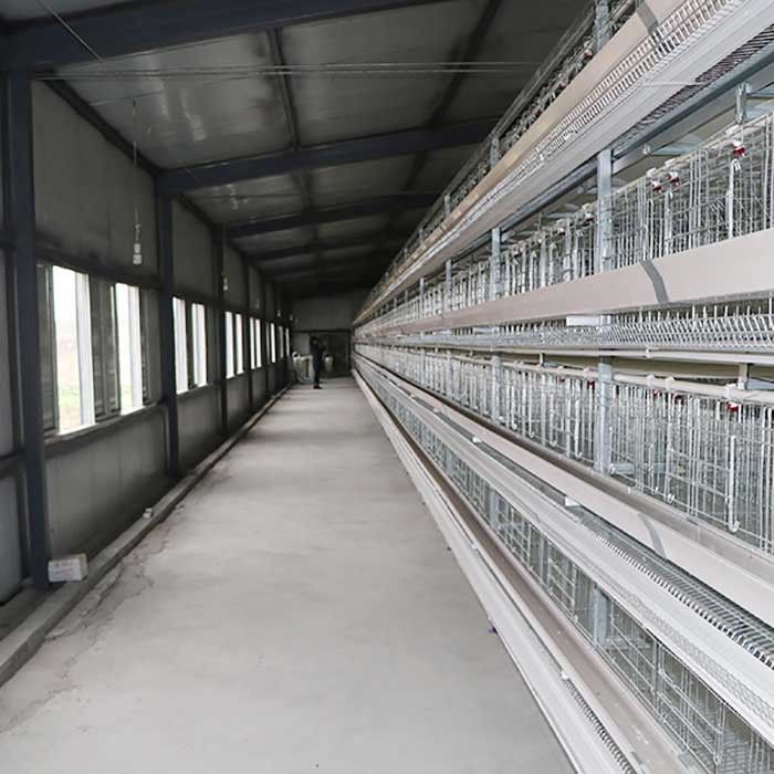 Συνδεμένο με καλώδιο κλουβί καλλιέργειας στρώματος αυγών εκμετάλλευση, επιστημονικά σχεδιασμένα κλουβιά κοτών στρώματος