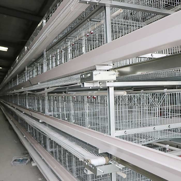 Γαλβανισμένα κλουβιά μπαταριών Wrie για τις ωοτόκες όρνιθες, αποταμίευση εργασίας κλουβιών κοτόπουλου αυγών