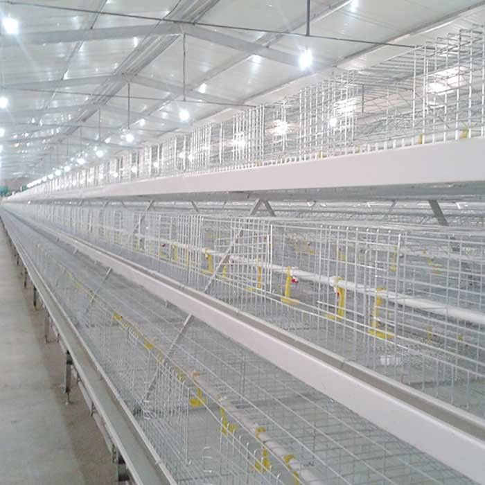 Καυτή βυθισμένη αυτόματη σίτιση συστημάτων κλουβιών κοτόπουλου σχαρών πλέγματος καλωδίων/κατανάλωση