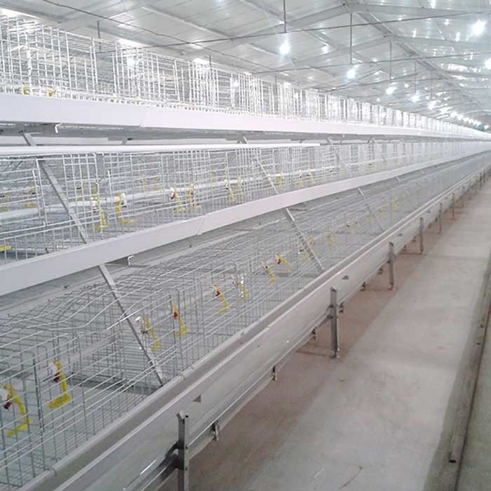 Μακριά διάρκεια ζωής κλουβιών κοτόπουλου σχαρών υψηλής αποδοτικότητας φιλική προς το περιβάλλον