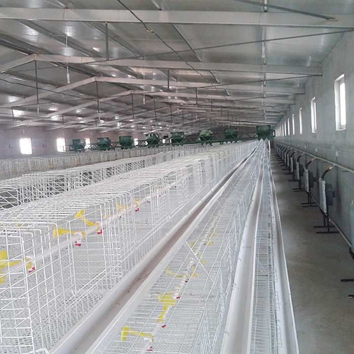Μακριά διάρκεια ζωής κλουβιών κοτόπουλου σχαρών υψηλής αποδοτικότητας φιλική προς το περιβάλλον