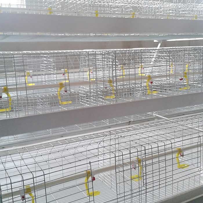 κλουβί τύπων μπαταριών × 0.7m × 0.4m 1.4m, αυτόματο κλουβί καλλιέργειας στρώματος κατανάλωσης