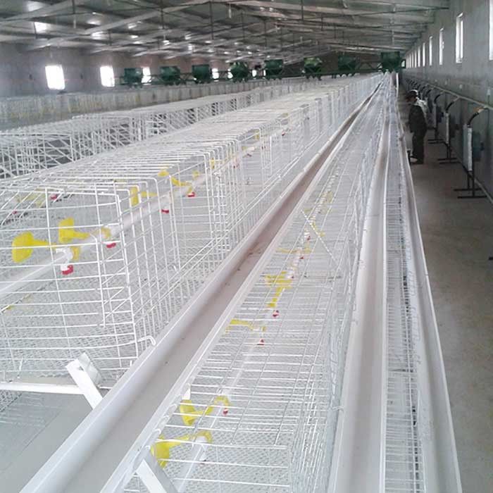 Ασημένιος άσπρος υψηλής θερμοκρασίας ανθεκτικός κλουβιών κοτόπουλου σχαρών με τη σίτιση/το σύστημα ΕΚ