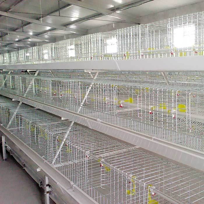 Ασημένιος άσπρος υψηλής θερμοκρασίας ανθεκτικός κλουβιών κοτόπουλου σχαρών με τη σίτιση/το σύστημα ΕΚ