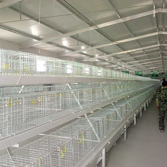 Κλουβί κοτόπουλου σχαρών υψηλής αποδοτικότητας με την πιστοποίηση ποτών IS9001 θηλών