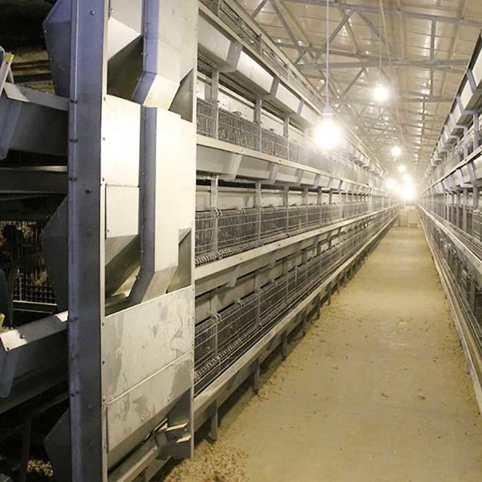 Χειρωνακτικό σύστημα τροφοδοσίας κλουβί κοτόπουλου 45 ημερών, κλουβί εκτροφής νεοσσών 3 σειρών