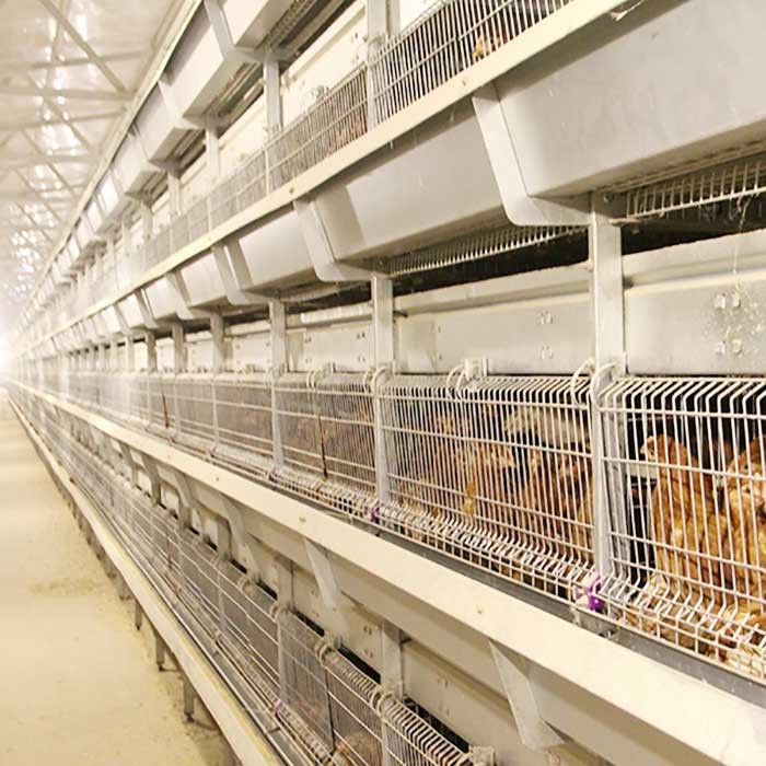 Υψηλό κλουβί ρυθμισμένο νερό Eco νεοσσών μωρών φωτός της ημέρας/εξαερισμού φιλικό