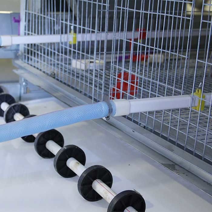Γαλβανισμένος χάλυβας ένα κλουβί για τα πουλερικά, αυτόματο κλουβί κοτόπουλου στρώματος σκαλών
