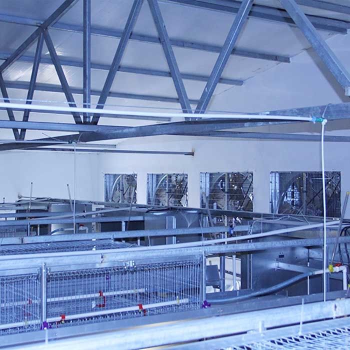 Εξοπλισμός καλλιέργειας πουλερικών μπαταριών, ανθεκτικός τύπος 192 Χ κλουβί κοτόπουλου μωρών