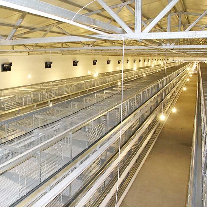 Κοτόπουλα κλουβιά ενός τύπων στρώματος, εξοπλισμός επεξεργασίας πουλερικών υψηλής αποδοτικότητας