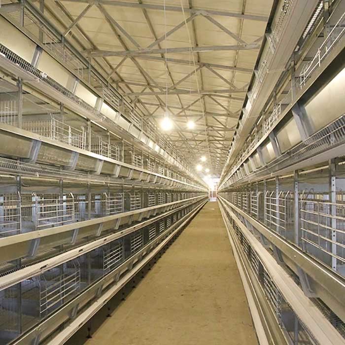 Αυτόματο σύστημα κλουβιών στρώματος αυγών κοτόπουλου μπαταριών εξοπλισμού καλλιέργειας πουλερικών στρώματος