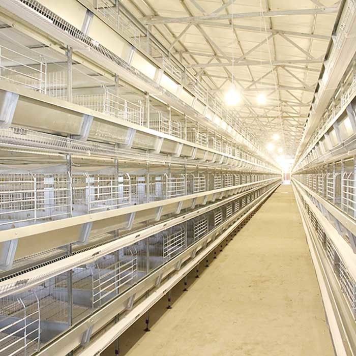 Q235 σχέδιο συνήθειας κλουβιών κοτόπουλου στρώματος χαλύβδινων συρμάτων με το σύστημα τροφοδοσίας/κατανάλωσης