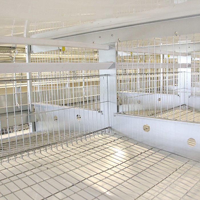 Καυτό βυθισμένο γαλβανισμένο κλουβί πουλερικών τύπων Χ, τρέχοντας κλουβί καλωδίων κοτόπουλου τροφοδοτών