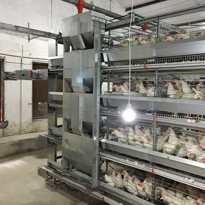 αποταμίευση Eco εργασίας αυτόματου ελέγχου κλουβιών κοτόπουλου πουλερικών 120 * 60 * 70cm φιλικό