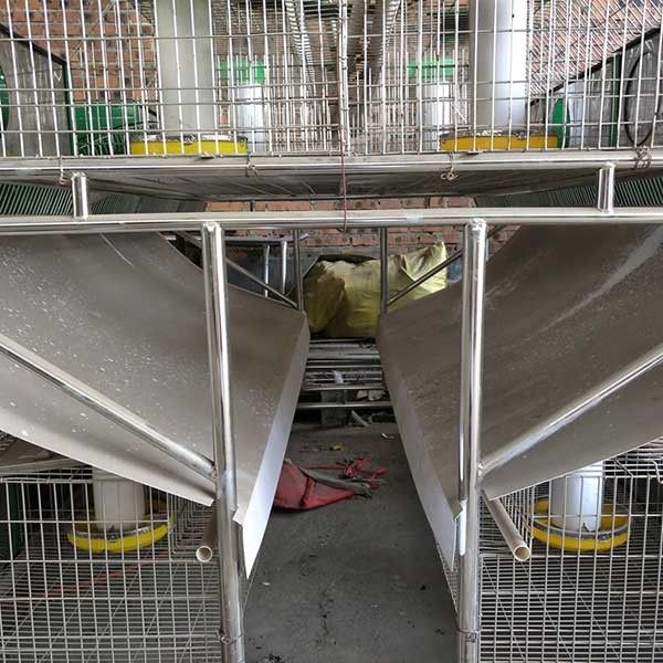Σταθερή αυτόματη κατανάλωση κλουβιών αγροτικών κουνελιών/καθαρισμός 25 ετών ζωής χρήσης