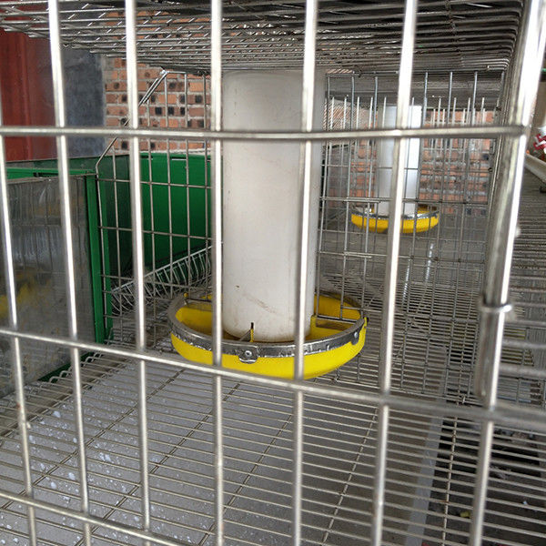Εμπορικά κλουβιά εκτροφής κουνελιών 2 στρώσεων Αυτόματο πόσιμο και καθαρισμό