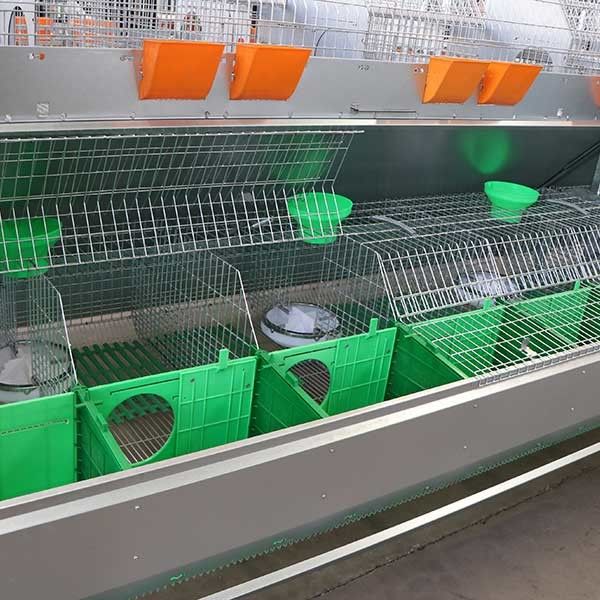 Το κουνέλι Hutch αναπαραγωγής με τον αυτόματο συλλέκτη επίστεγων, ασημώνει την εμπορική κατοικία κουνελιών