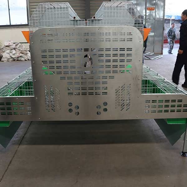 κλουβί αγροτικών κουνελιών 2400 * 1500mm του 2000 * για τη ναυτιλία εμπορευματοκιβωτίων εκτροφής/αναπαραγωγής